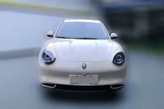 2024 Ora Good Cat 2024 401km Luxury #2
