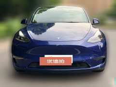 2021 Tesla Model Y 2021StandardBattery lifeRWDEdition #2