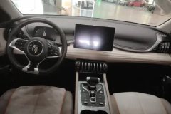 2024 BYD Yuan Plus 2024 Glory 430KM Surpass #12