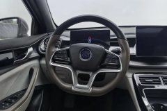 2024 BYD Qin Plus 2024 Glory EV 420KMSurpass #15