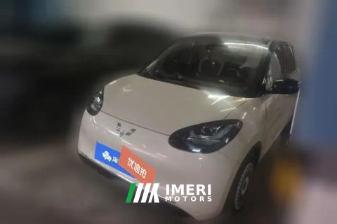 2024 Wuling Motors Wuling Bingo 2023 203KM Enjoy lightly