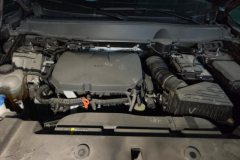 2024 Haval Big Dog Plus 2023 2.0T AT 4WDShionoPlus #10