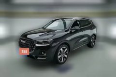 2023 Haval H6 2023 China tideEdition 1.5T AT Champion #1
