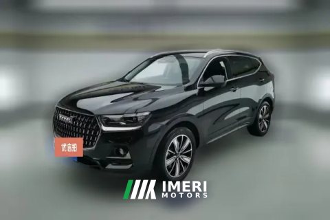 2023 Haval H6 2023 China tideEdition 1.5T AT Champion