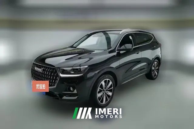 2023 Haval H6 2023 China tideEdition 1.5T AT Champion