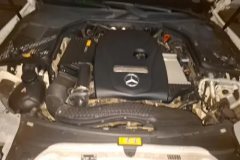 2019 Mercedes-Benz C-Class 2019 1.6T AT C180LFashionSport #10