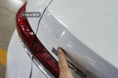 Trunk Lid