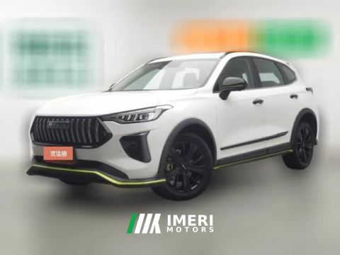 2021 Haval Chitu 2021 1.5T AT ProvokingEdition golden rabbit