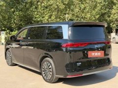 2025 BYD Xia 2025 DM-i 1.5T 100km Leading #9