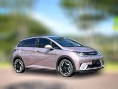 2022 BYD Dolphin 2021 405km Fashion #3