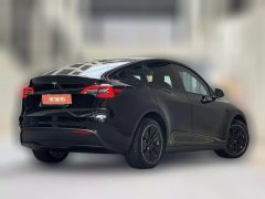 2021 Tesla Model Y 2021Long Rangeall wheel driveEdition 3D7 #3