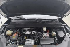 2025 Dongfeng Fengshen Dongfeng Fengshen L8 2025 185KMdreamEdition #7