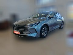 2024 BYD Destroyer 05 2024 DM-i 55KM PilotGlory #1