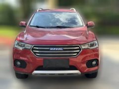 2017 Haval H2s 2017 1.5T MT Blue LabelElite #2
