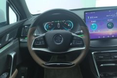 2022 BYD Tang PHEV 2021 1.5T AT DM-i 112KM Honor #15
