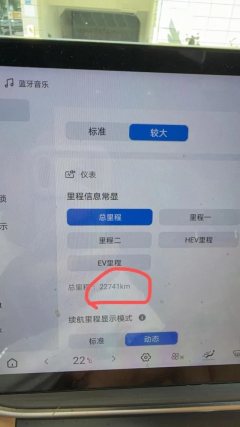 2025 BYD Song L DM-i 2024 1.5L AT 112km Leading #7