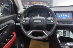 2018 Haval H2s 2018 1.5T AT Red LabelLuxury #15
