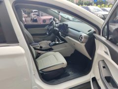 2022 BYD Yuan Pro 2021 want to love1bornEdition #12