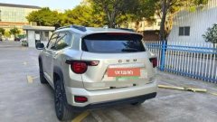 2025 Haval Big Dog Plus PHEV 2026 Hi4 150km Tide electricityEdition #6