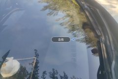Windshield