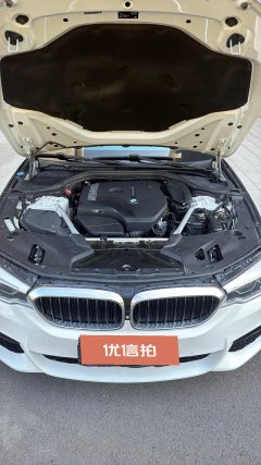 2019 BMW 5 Series 2019 2.0T AT 530LiExclusiveMSport Pkg #14