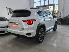 2024 Haval Big Dog Plus PHEV 2023 DHT-PHEV 105km Tide electricityEdition #9