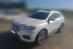 2017 Haval H6 2017 2.0T AT Blue Label2WDSmart Fashion #1