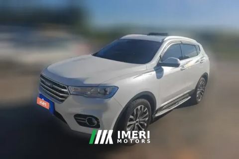 2017 Haval H6 2017 2.0T AT Blue Label2WDSmart Fashion