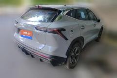 2024 Jetour Dasheng 2024 1.5T AT DCT star shinePRO #3