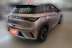 2022 BYD Dolphin 2021 405km Fashion #3