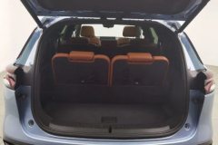 2023 BYD Tang PHEV 2023 1.5T AT DM-i Champion 112KM Exclusive #20