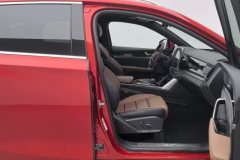 2022 BYD Tang PHEV 2021 2.0T AT DM4WDPerformancePremium #22