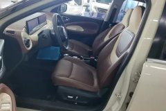 2023 Wuling Motors Wuling Bingo 2023 333KM LingxiConnected #9