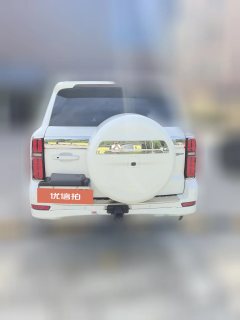 2023 Tank 500 PHEV 2023 2.0T AT Hi4-T #5