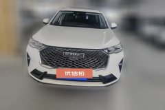 2020 Haval H6 2021 1.5T AT No.3generation2WDMax #2