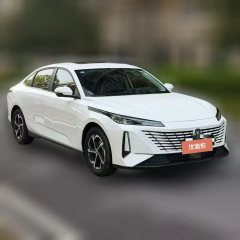 2025 Chang'an Eado 2024 1.5T AT GDI Pleasure #2