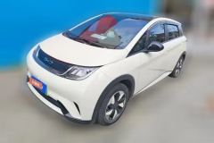 2024 BYD Dolphin 2024 Glory 420km Fashion #1