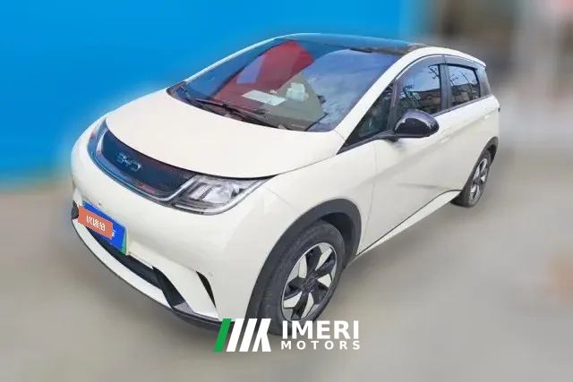 2024 BYD Dolphin 2024 Glory 420km Fashion