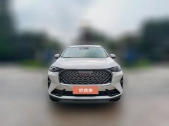 2025 Haval H6 2024 1.5T AT 2WDClassic #3