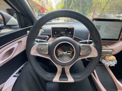 2024 BYD Seagull 2024 Glory 305KM freeEdition #7