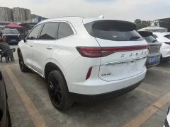 2023 Haval H6 2021 1.5T AT No.3generation2WDMax #15