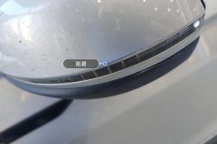 Left Exterior Mirror