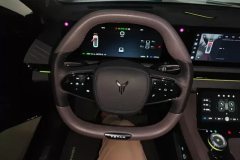 2024 Voyah Zhuiguang 2024 PHEV 4WDSuperLong RangeExecutive #15