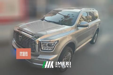 2024 Tank 500 New Energy 2023 2.0T AT Hi4-T