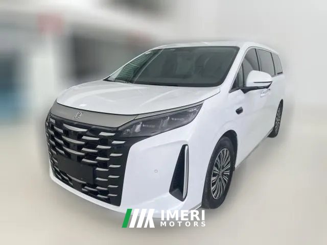 2025 BYD Xia 2025 DM-i 1.5T AT 180km excellence