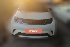 2024 BYD Dolphin 2024 Glory 420km Fashion #2