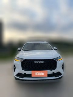 2021 Haval H6 2021 1.5T AT No.3generation2WDMax #2