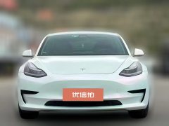 2020 Tesla Model 3 2020 StandardBattery lifeRWDUpgradeEdition #2
