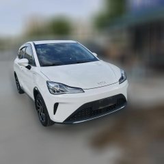 2024 Neta AYA 2023 401 Lite #6