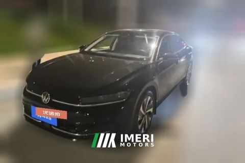 2025 Volkswagen Magotan 2024 1.5T AT 300TSI DSGExclusiveconspicuous bag